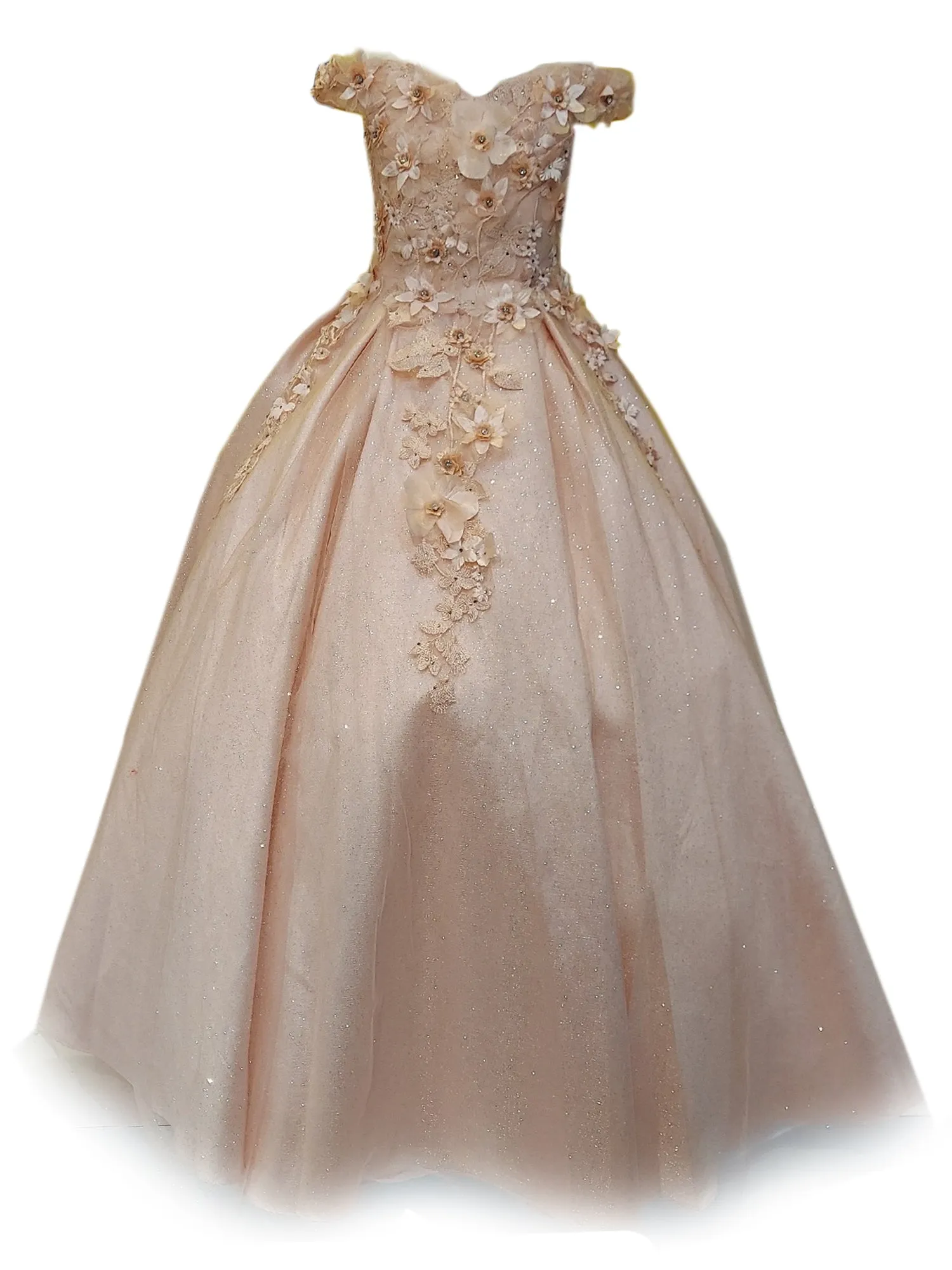 Little Girls Blush 3D Flower Organza Lace Off Shoulder Pageant Dress 3-6